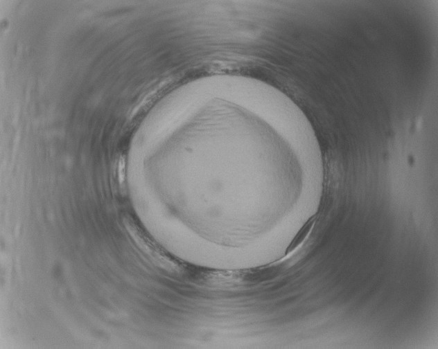 X0000051240094200507152135