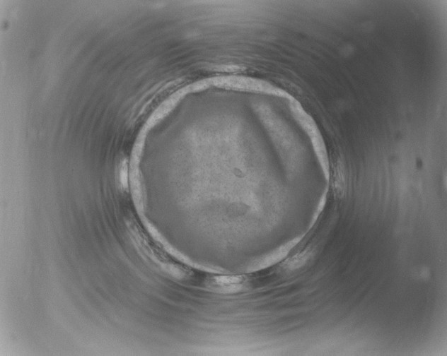 X0000051240095200507152135