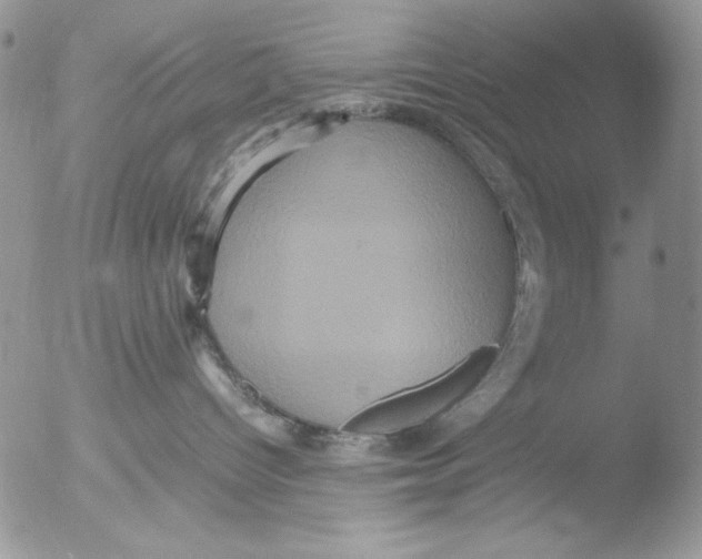 X0000051240096200507152135