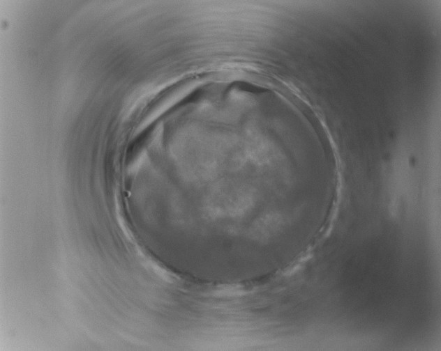 X0000051240097200507152134