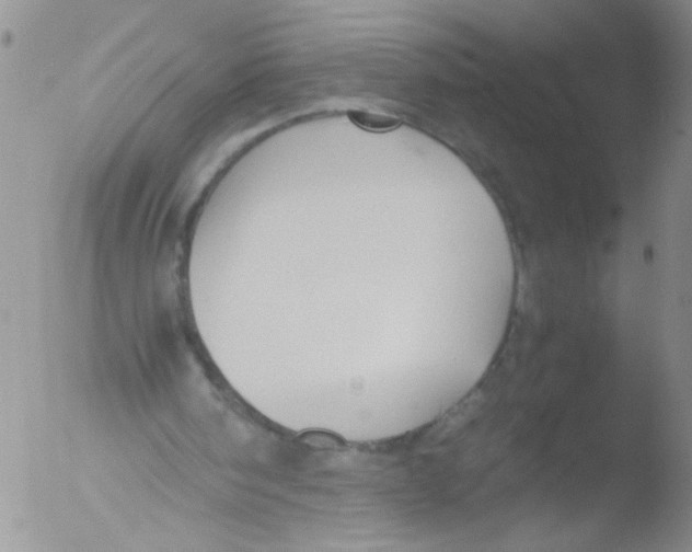 X0000051240098200507152134