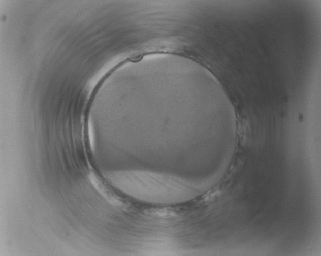 X0000051240100200507152134