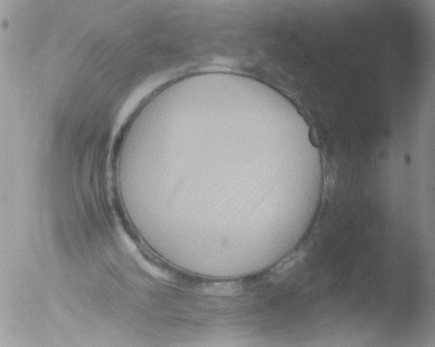 X0000051240102200507152134