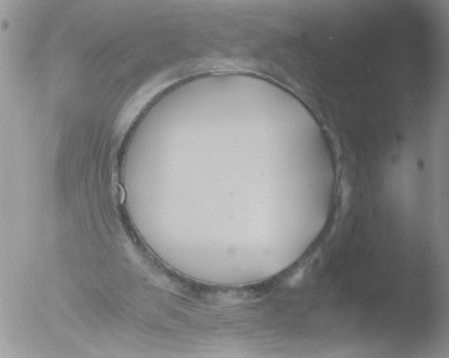 X0000051240103200507152134