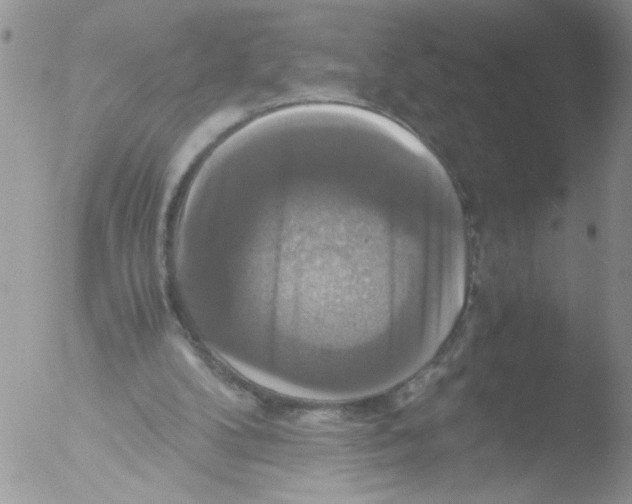 X0000051240104200507152134