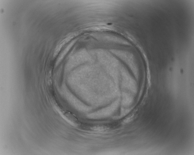 X0000051240105200507152134