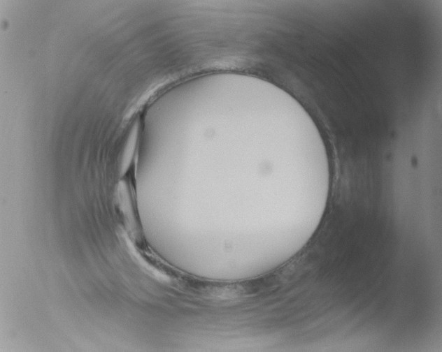 X0000051240106200507152134