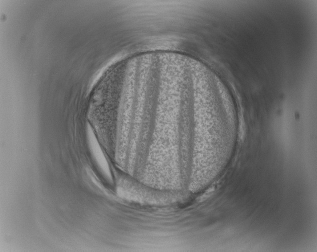 X0000051240107200507152134