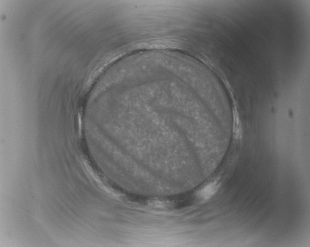 X0000051240109200507152134