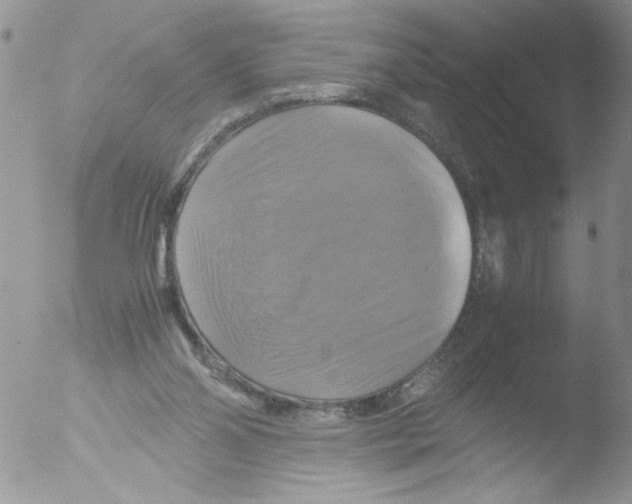 X0000051240110200507152134