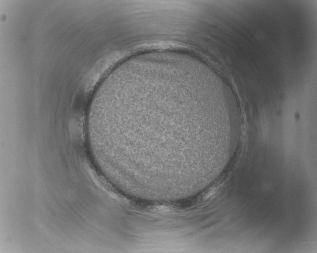 X0000051240111200507152134