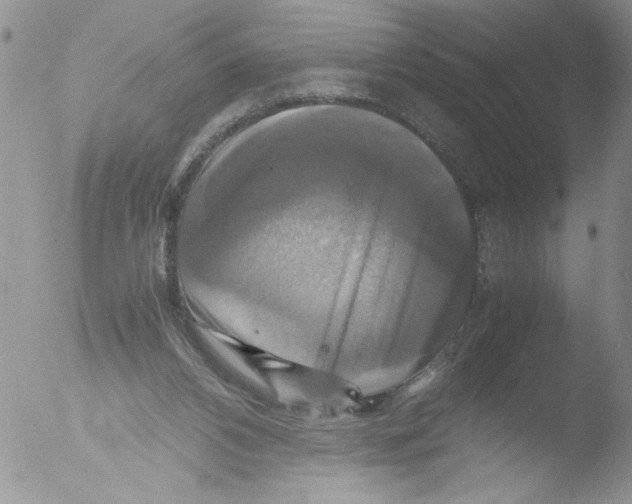 X0000051240112200507152134