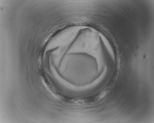 X0000051240113200507152134