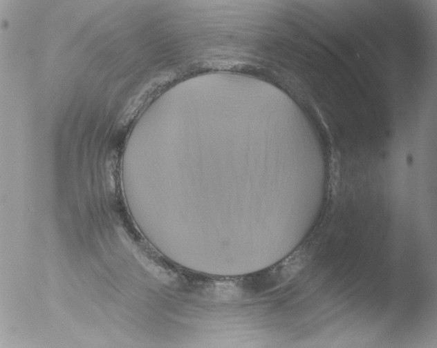 X0000051240114200507152134