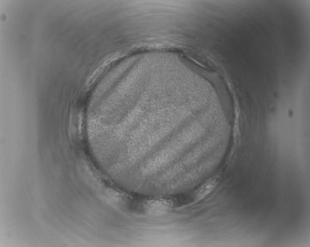 X0000051240115200507152134