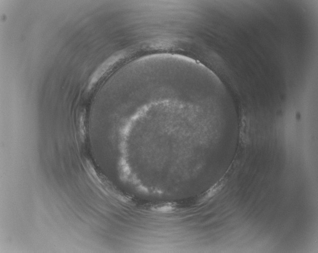 X0000051240116200507152134