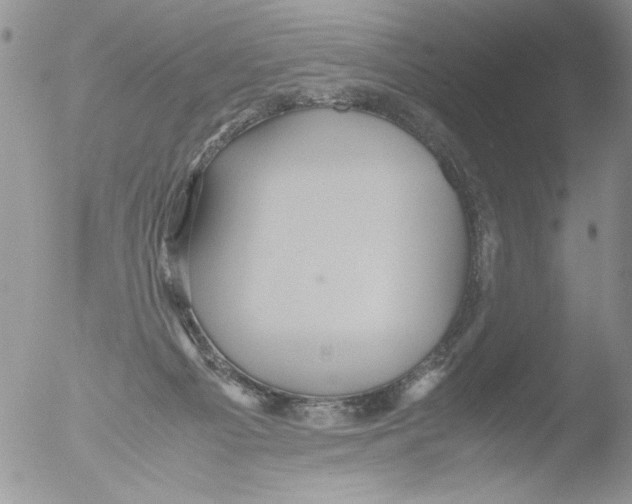 X0000051240121200507152134