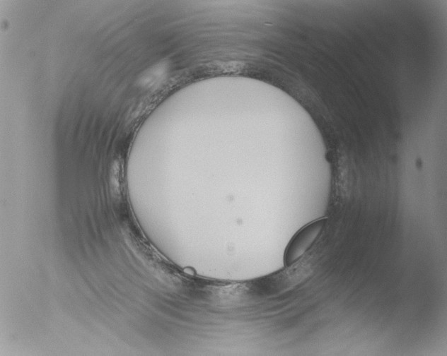 X0000051240122200507152134