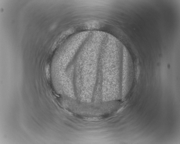 X0000051240123200507152134