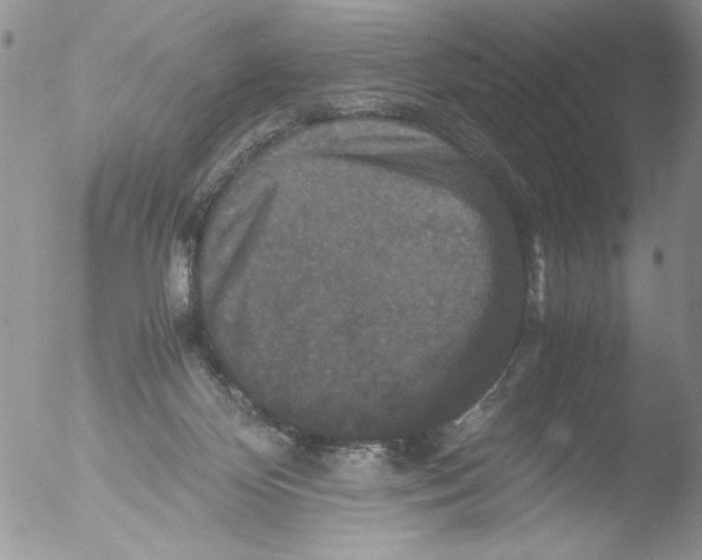 X0000051240124200507152134