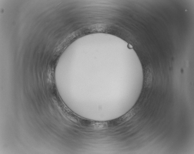 X0000051240126200507152133