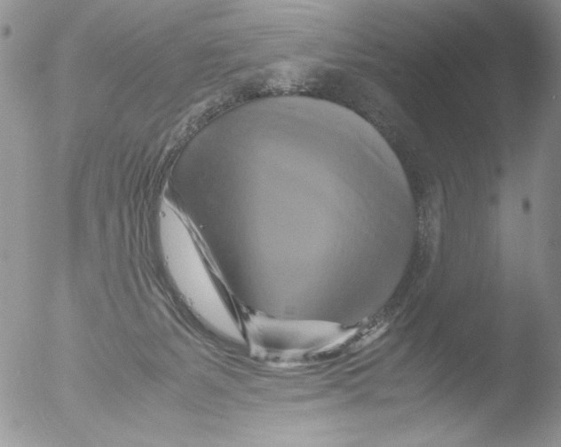 X0000051240127200507152133