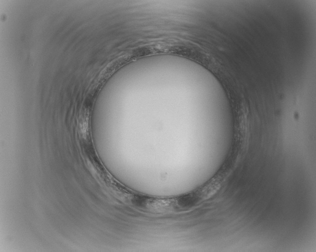 X0000051240129200507152133