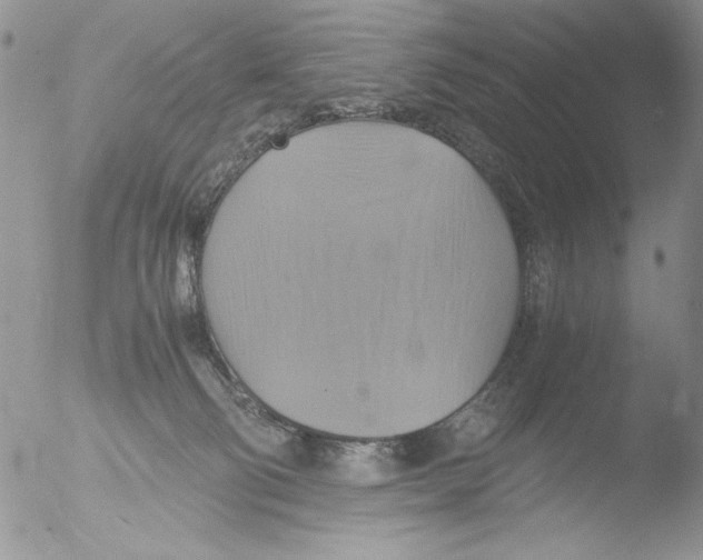 X0000051240130200507152133