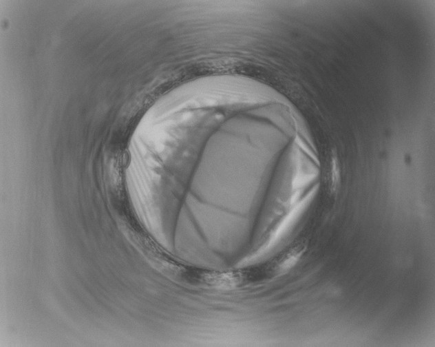 X0000051240131200507152133