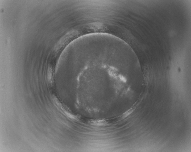 X0000051240132200507152133