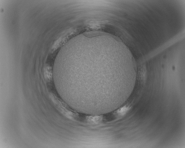 X0000051240135200507152133