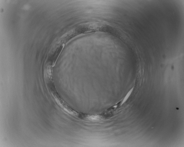 X0000051240137200507152133