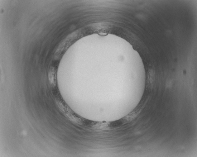 X0000051240138200507152133