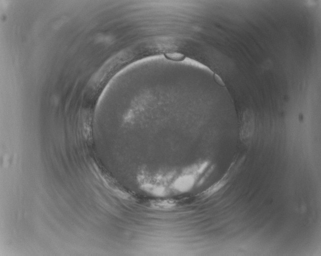 X0000051240140200507152133