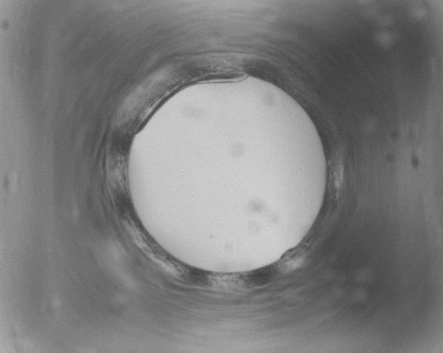 X0000051240141200507152133