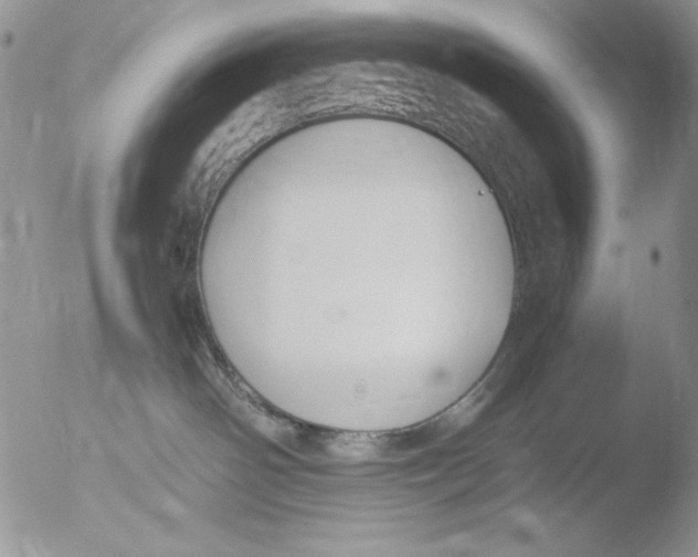 X0000051240142200507152133