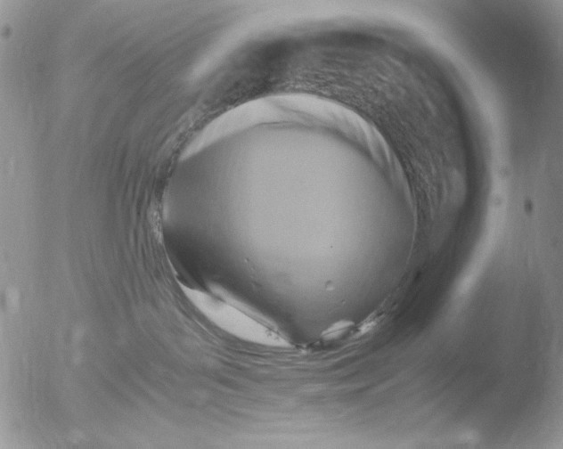 X0000051240143200507152133