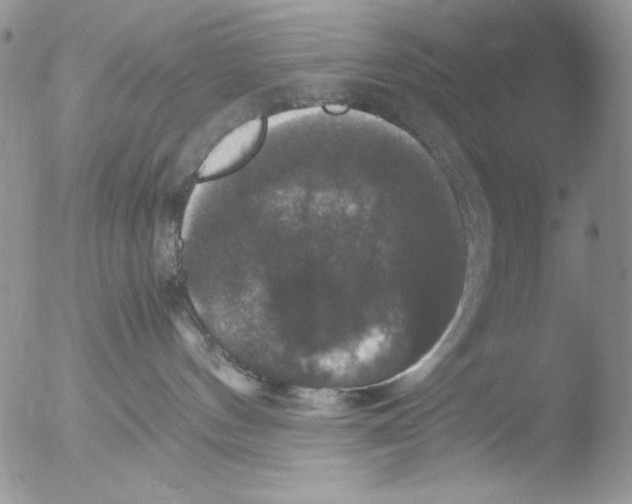 X0000051240144200507152133