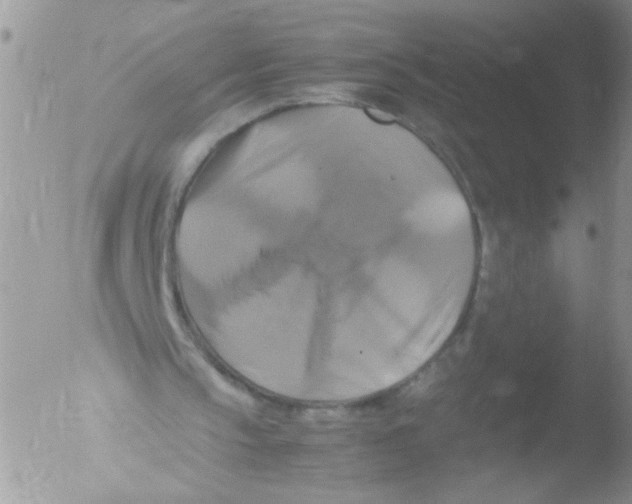 X0000051240145200507152132