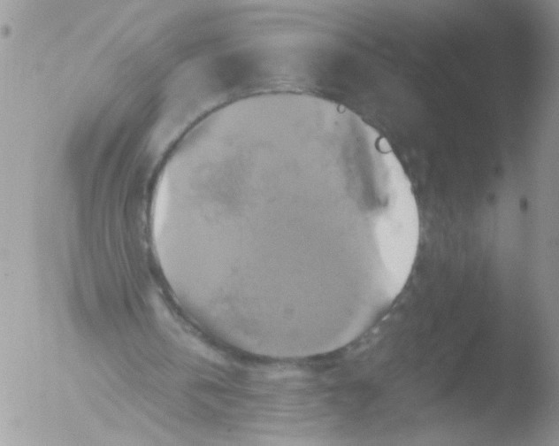 X0000051240146200507152132