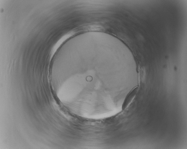 X0000051240147200507152132