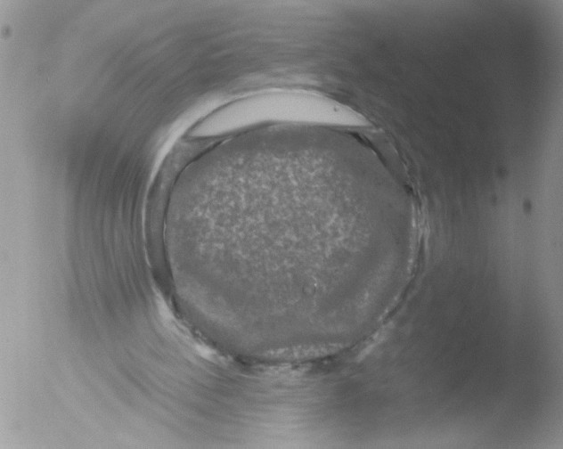 X0000051240148200507152132