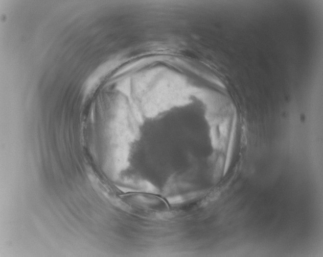 X0000051240149200507152132