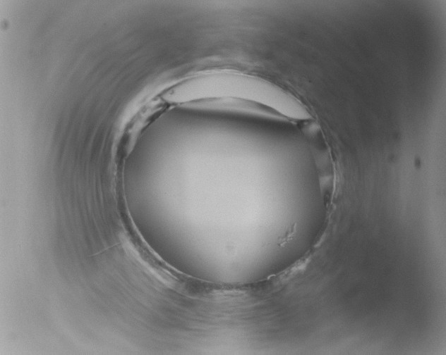 X0000051240150200507152132