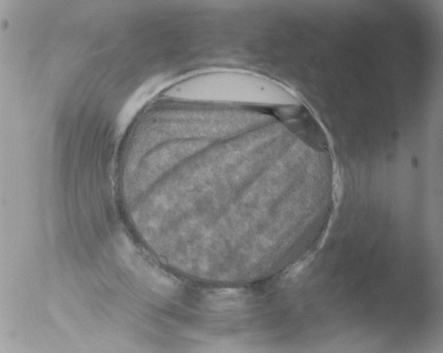 X0000051240151200507152132