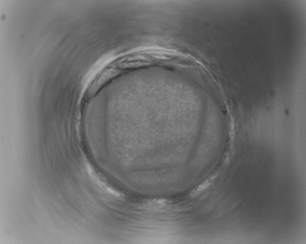 X0000051240152200507152132