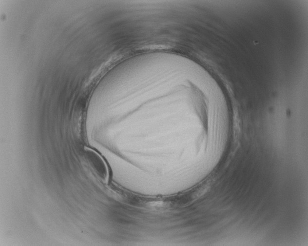 X0000051240153200507152132