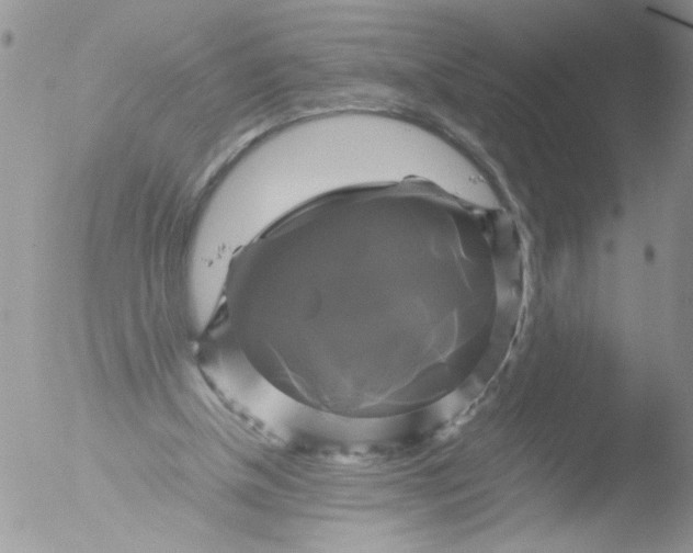 X0000051240154200507152133