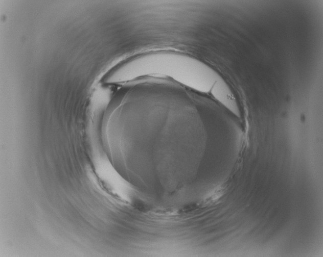 X0000051240156200507152133