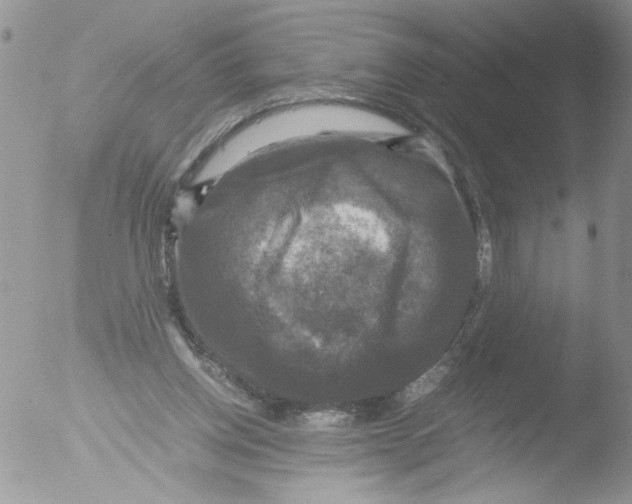 X0000051240158200507152133